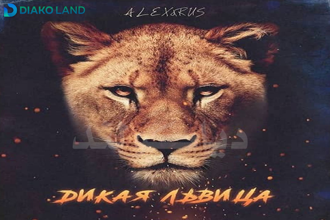 متن و ترجمه آهنگ Дикая львица از Alex و Rus 💎