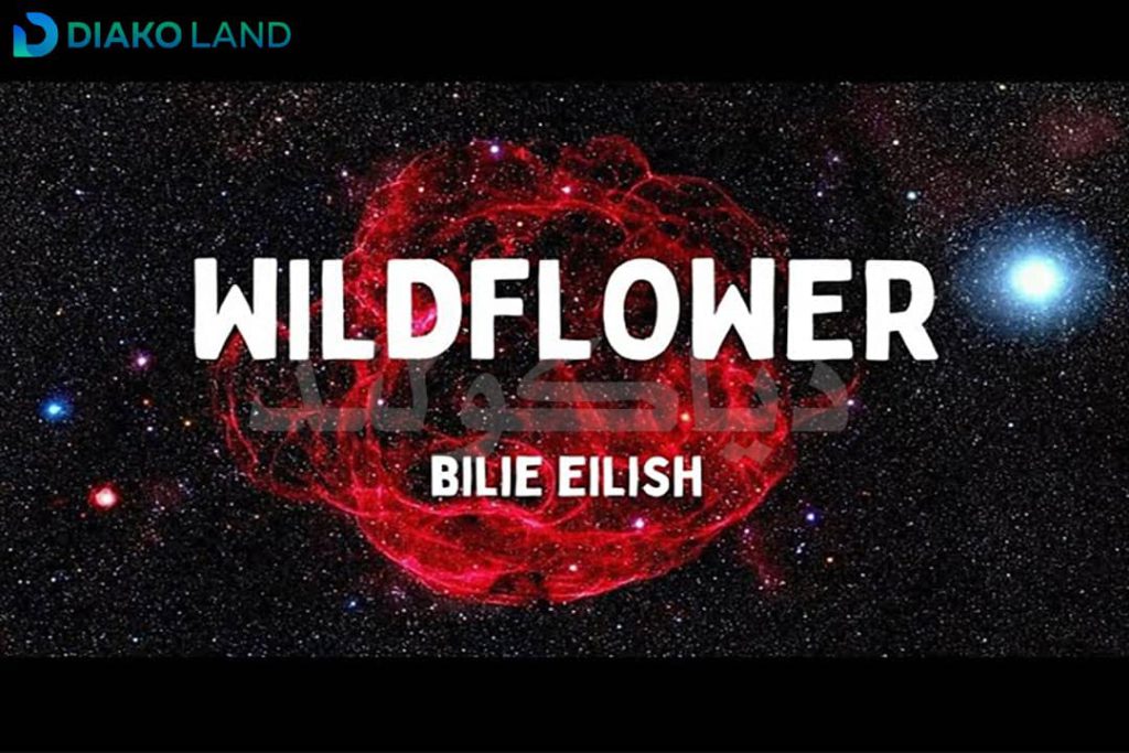 متن و ترجمه آهنگ WILDFLOWER از Billie Eilish