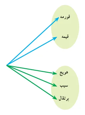 جواب فعالیت صفحه 119 ریاضی دهم