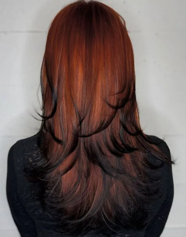 Fox hair color 32