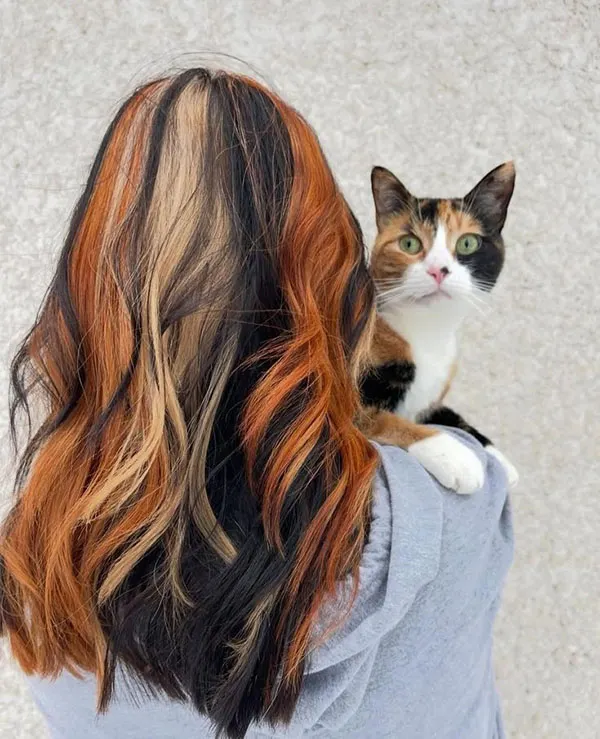 Fox hair color 33