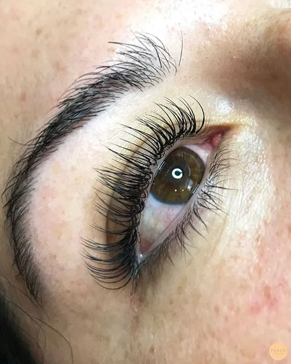 3D eyelashes 19
