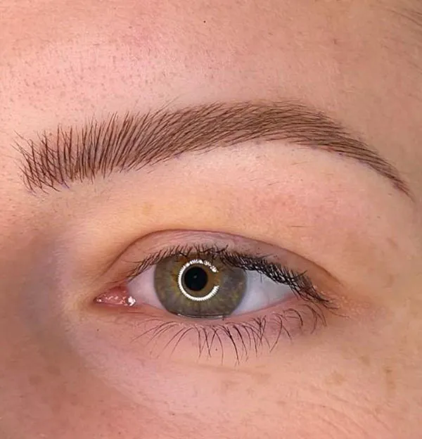 Brown eyebrows 11
