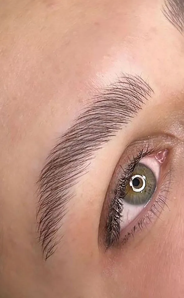 Brown eyebrows 12