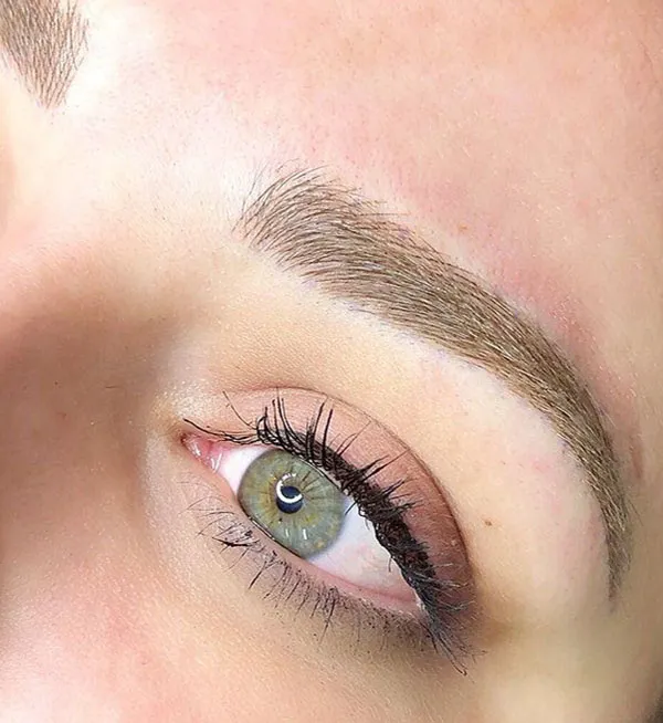 Brown eyebrows 14