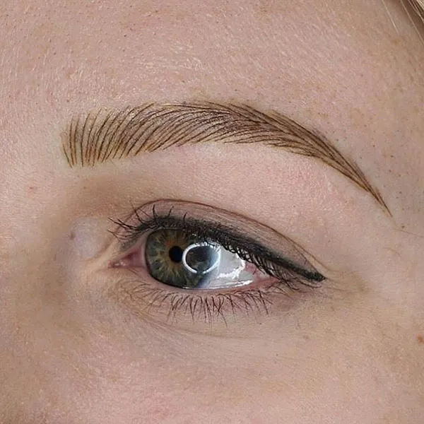 Brown eyebrows 17