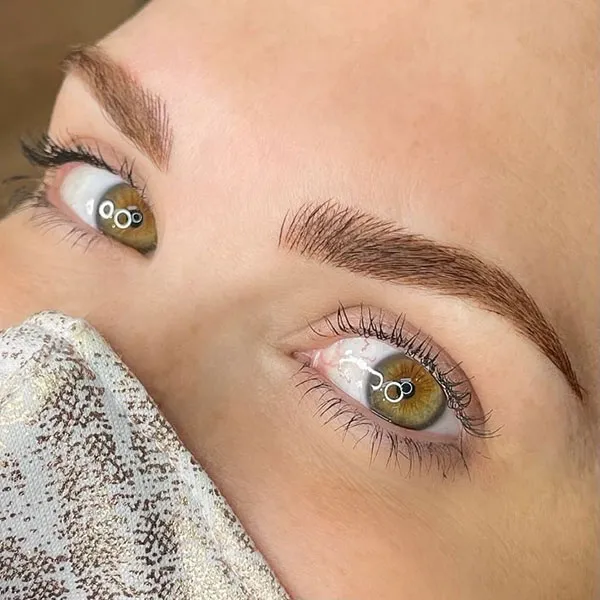 Brown eyebrows 18