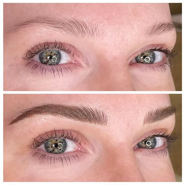 Brown eyebrows 20