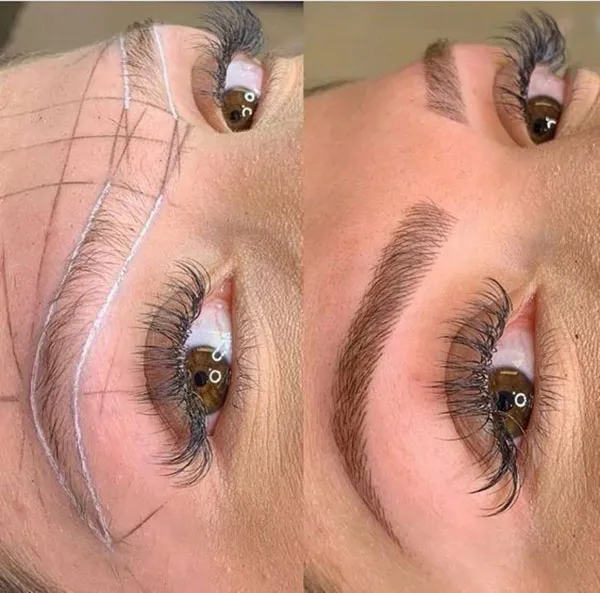 Brown eyebrows 22