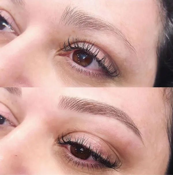Brown eyebrows 23