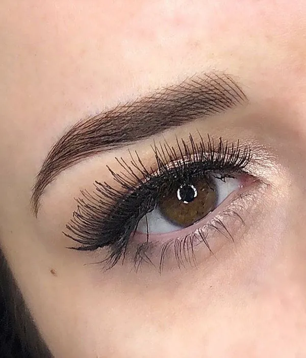 Brown eyebrows 24