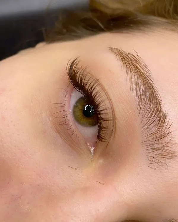 Brown eyebrows 25