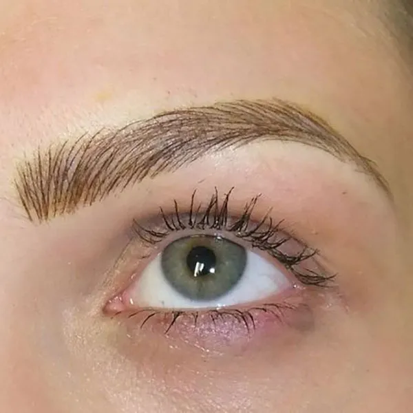 Brown eyebrows 26