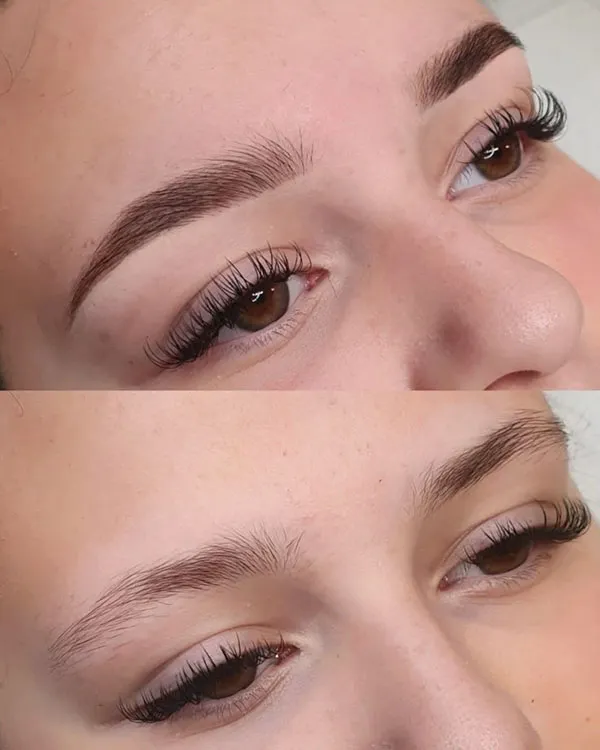 Brown eyebrows 27
