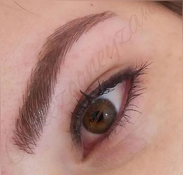 Brown eyebrows 31