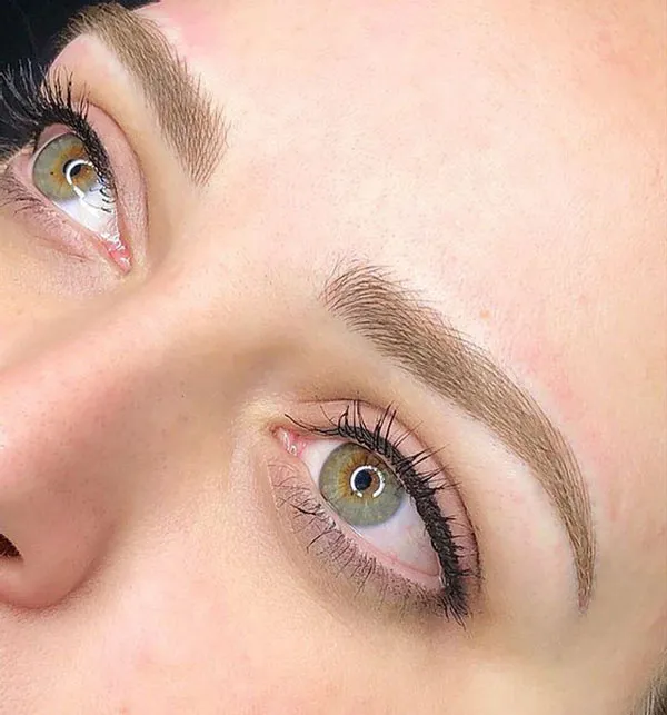 Brown eyebrows 32