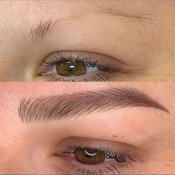 Brown eyebrows 4