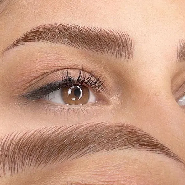 Brown eyebrows 6