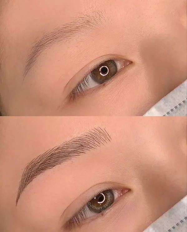 Brown eyebrows 8