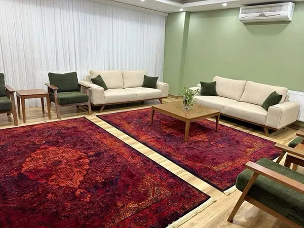 Carpet arrangement in a large living room 6