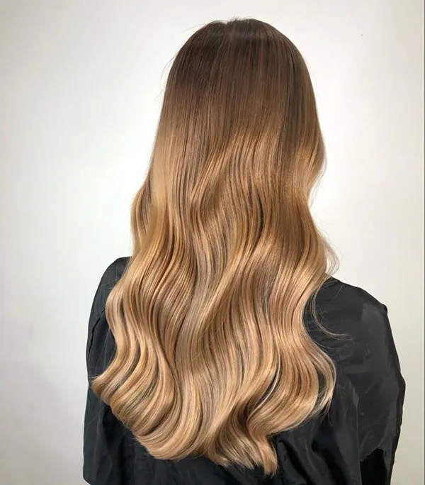 Chocolate gold hair color 1