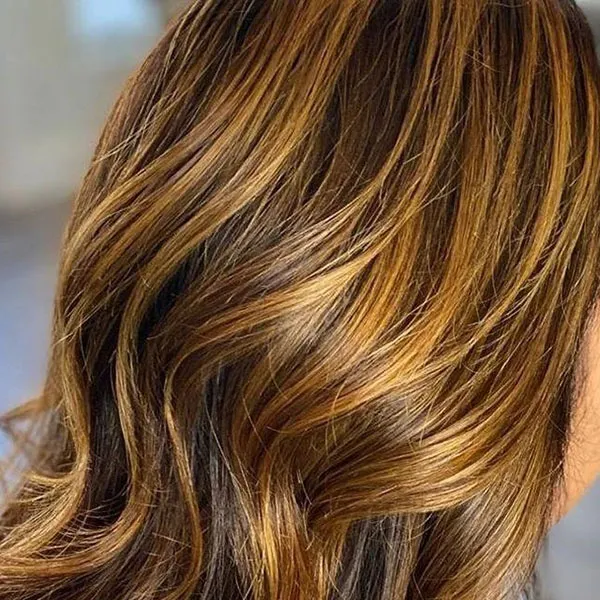 Chocolate gold hair color 21