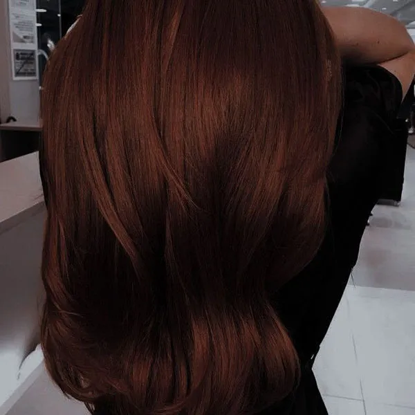 Chocolate hair color combination 1