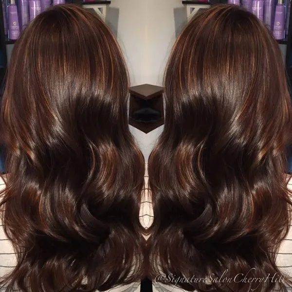 Chocolate hair color combination 28