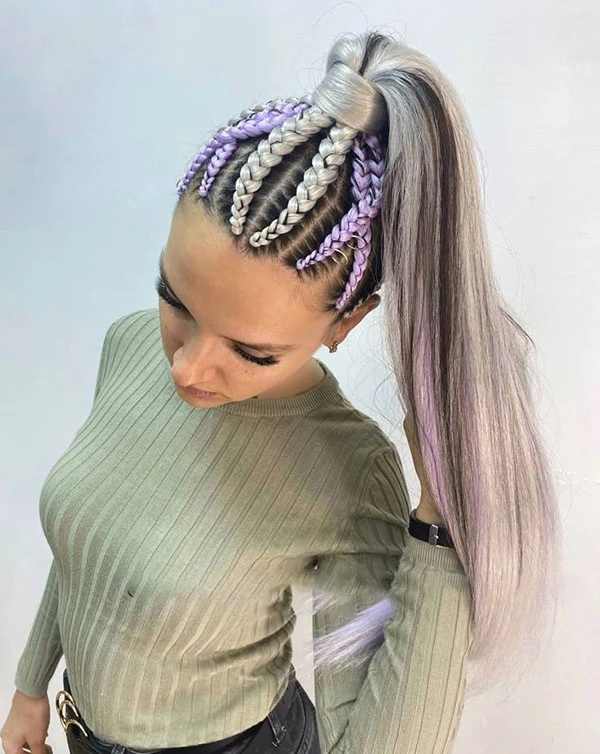 Dutch braid ponytail 18