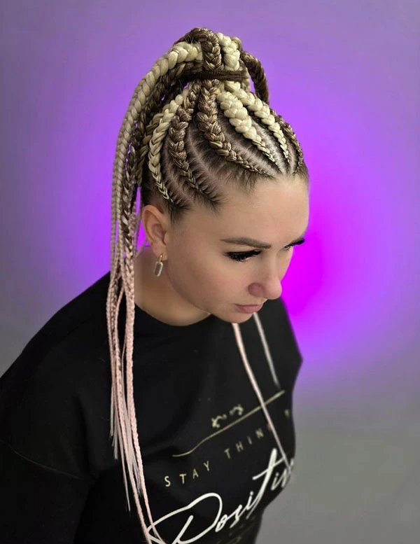 Dutch braid ponytail 28