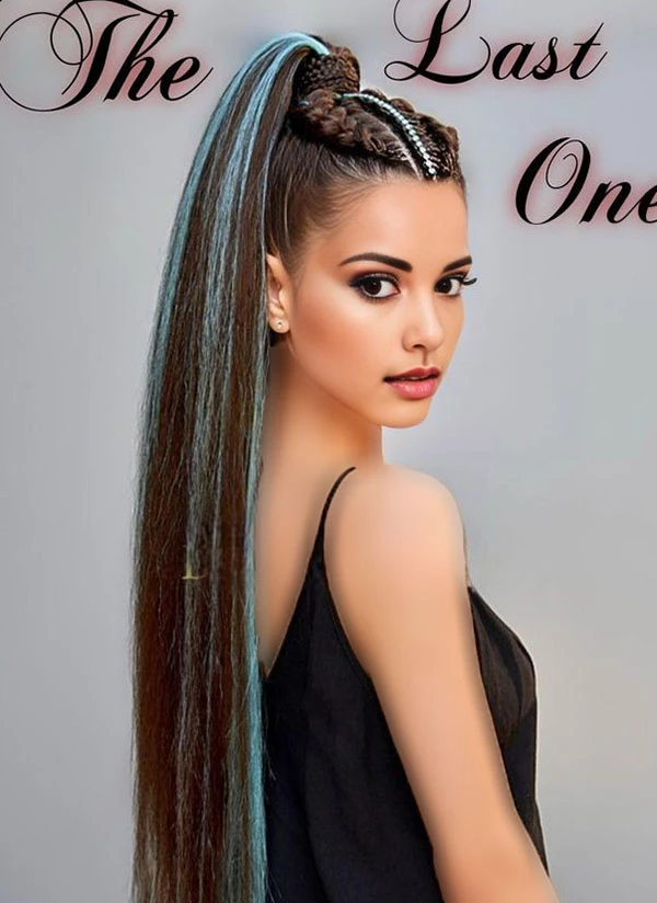 Dutch braid ponytail 32