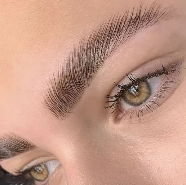 Eyebrow hairline 18