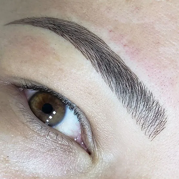 Eyebrow hairline 27