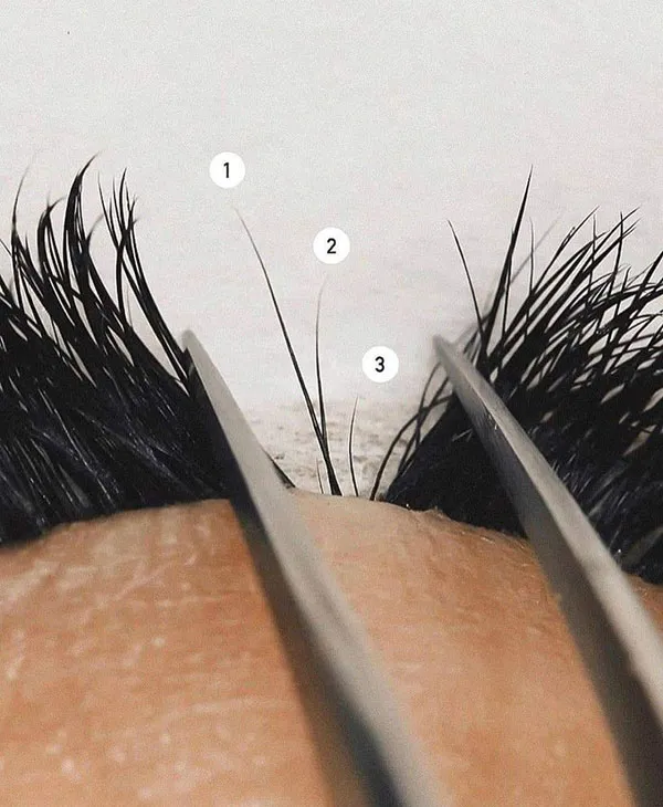 Foxtail Eyelashes 13