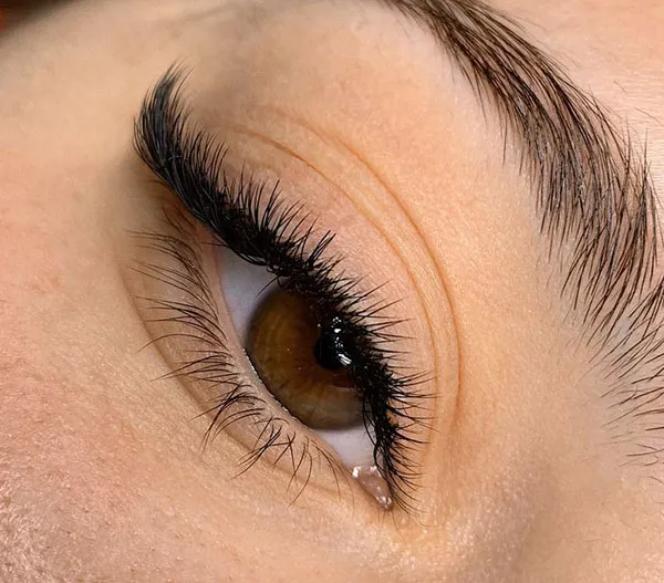 Foxtail Eyelashes 27