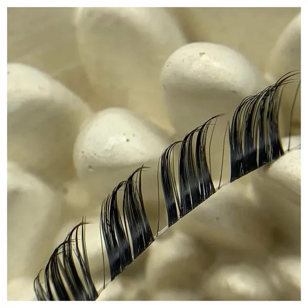 Foxtail Eyelashes 9