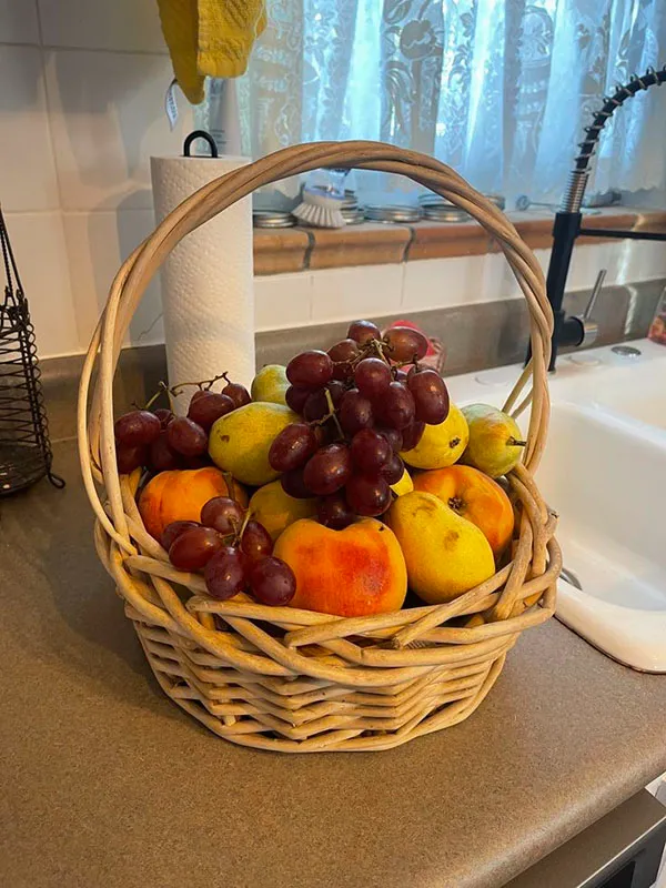 Fruit bowl design 15