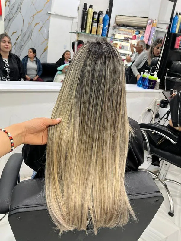 Long hair highlights 30