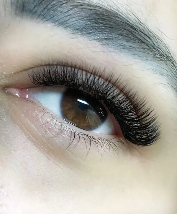 Natural Tespiki Eyelash Transplant 13