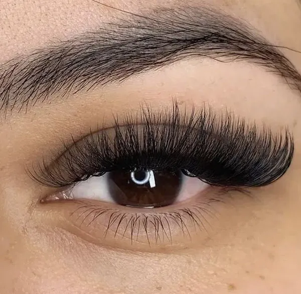 Natural Tespiki Eyelash Transplant 18