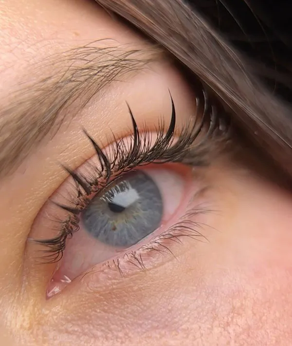 Natural Tespiki Eyelash Transplant 2