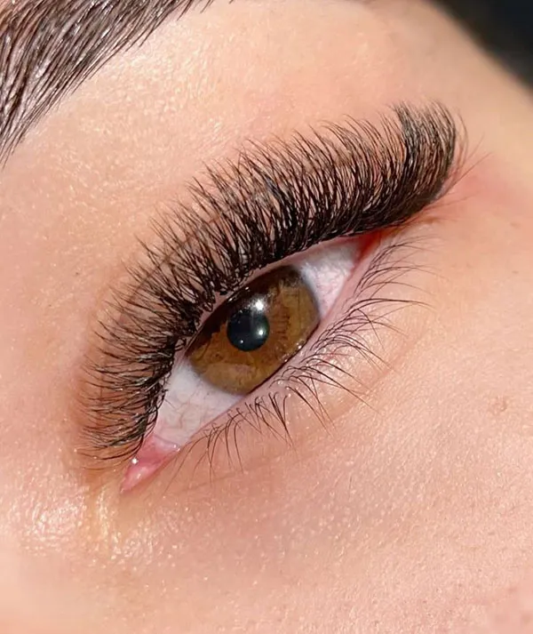Natural Tespiki Eyelash Transplant 23