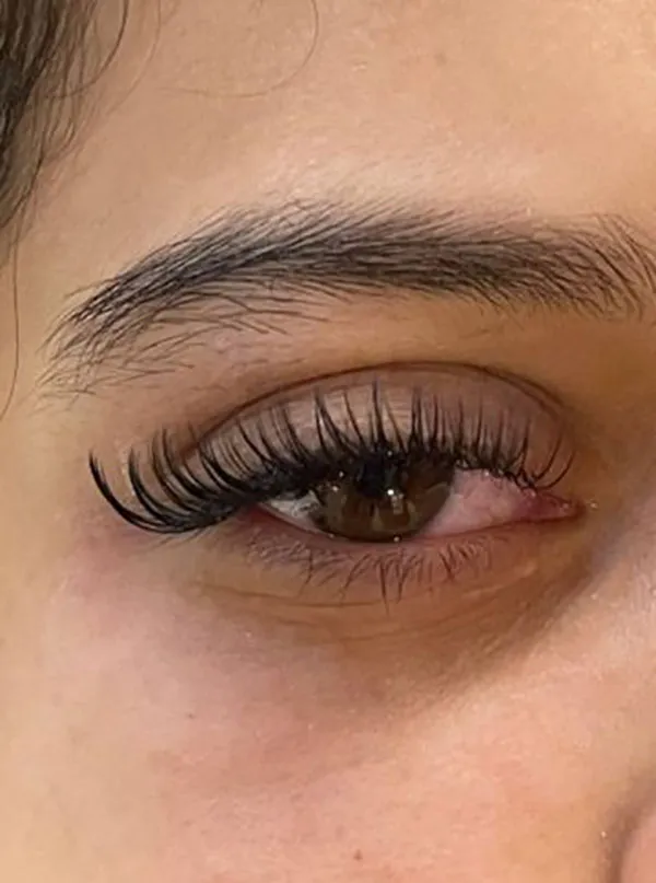Natural Tespiki Eyelash Transplant 25