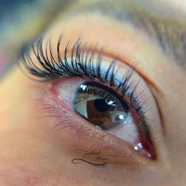 Natural Tespiki Eyelash Transplant 26