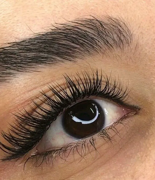 Natural Tespiki Eyelash Transplant 28