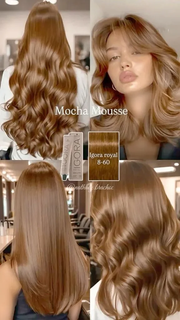mocha color 6
