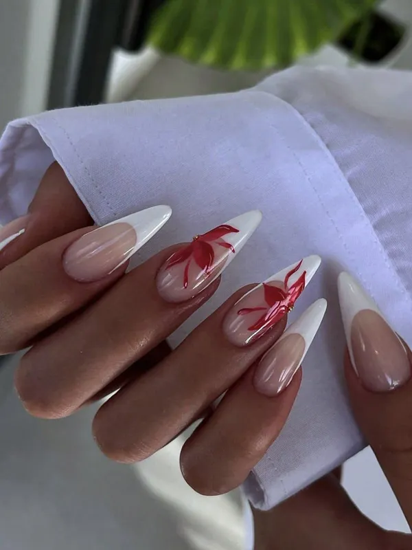 nail french chic diakoland photo 29