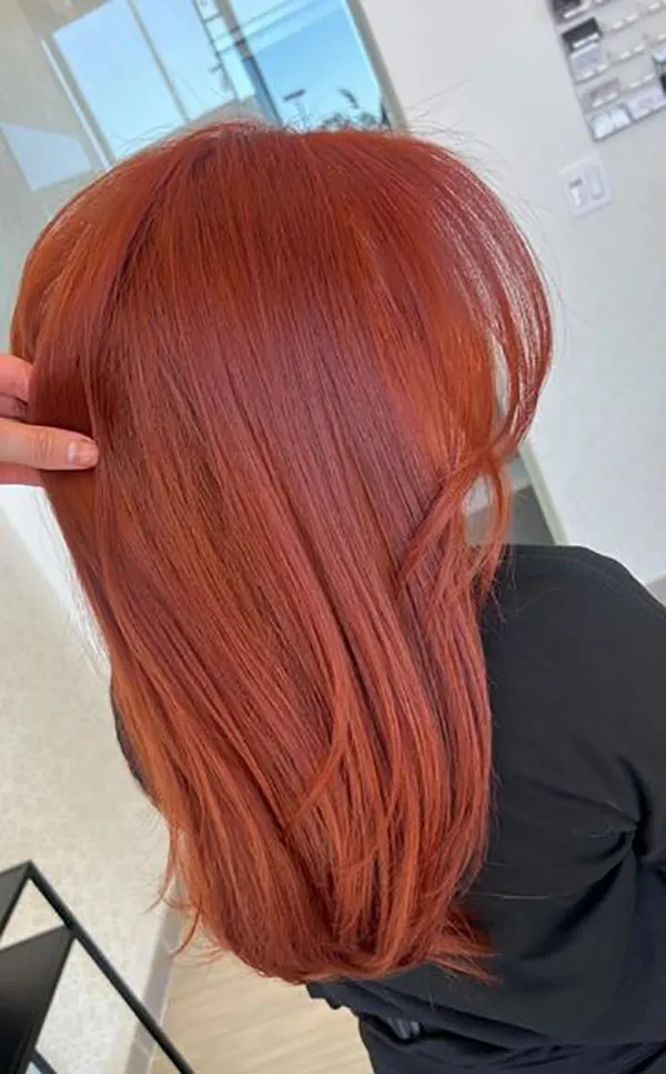 Autumn hair color 1