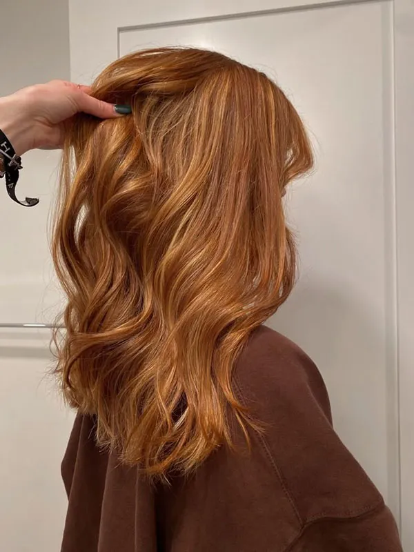 Autumn hair color 22