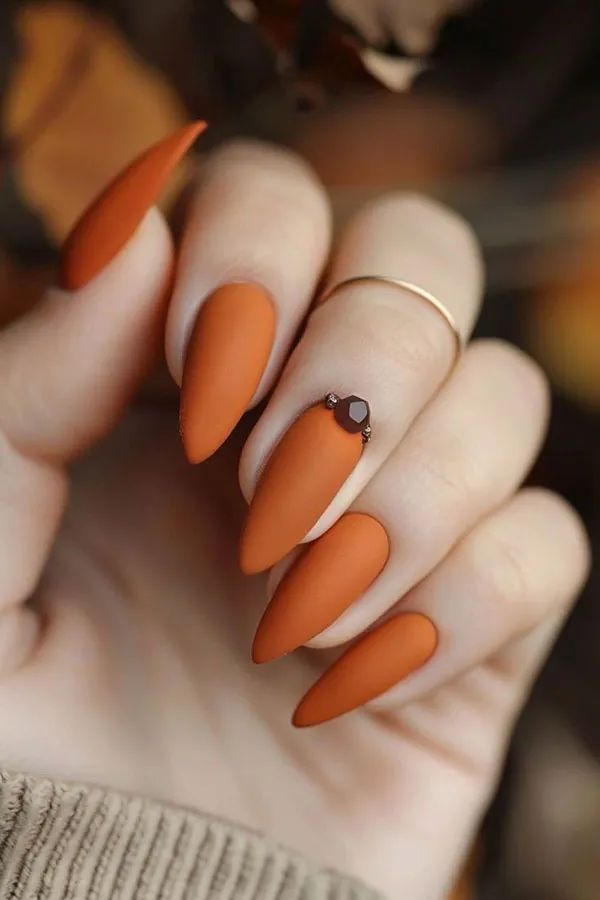 Autumn nail style 20